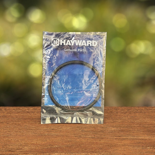Hayward Pump O Rings & Gaskets | Peninsula Pool Supplies