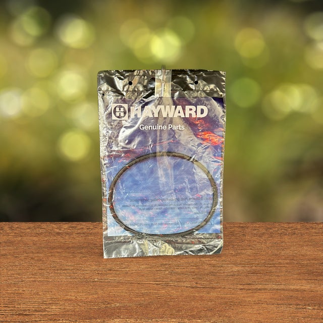 Hayward Pump O Rings & Gaskets | Peninsula Pool Supplies